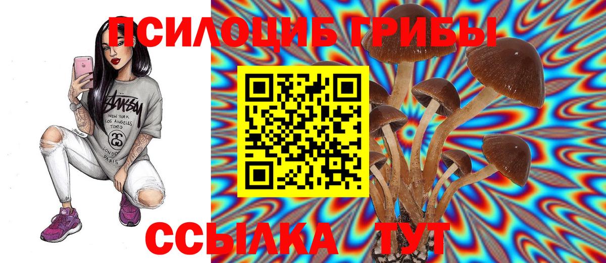 Псилоцибиновые грибы мицелий  Галлюциногенные грибы мухоморы  Киржач  Вход с VPN 